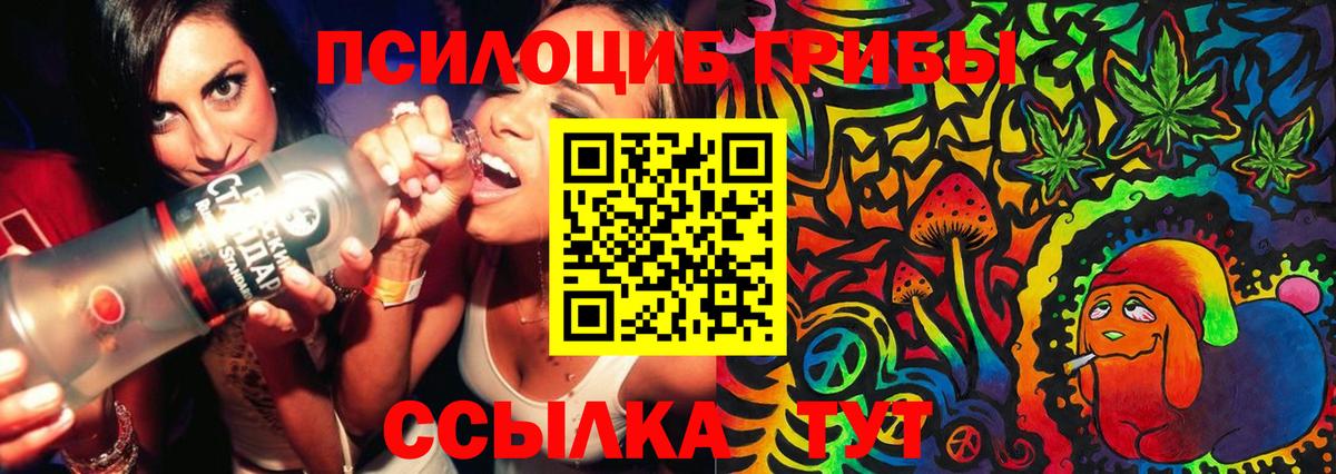 Псилоцибиновые грибы прущие грибы Еманжелинск